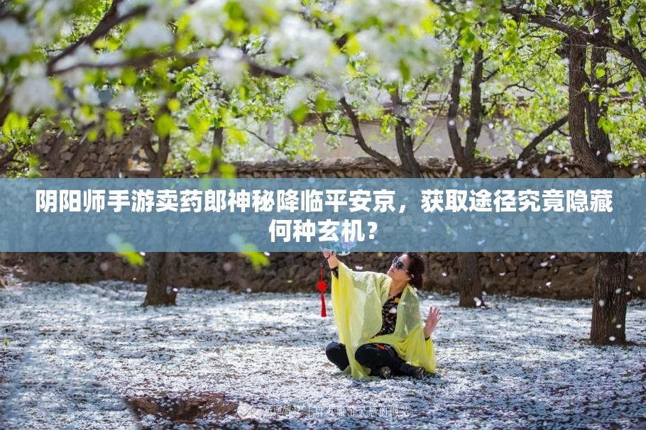陰陽師手游賣藥郎神秘降臨平安京，獲取途徑究竟隱藏何種玄機(jī)？