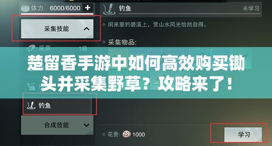 楚留香手游中如何高效購買鋤頭并采集野草？攻略來了！
