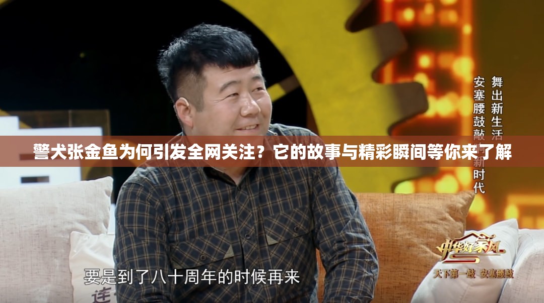 警犬張金魚為何引發(fā)全網(wǎng)關注？它的故事與精彩瞬間等你來了解