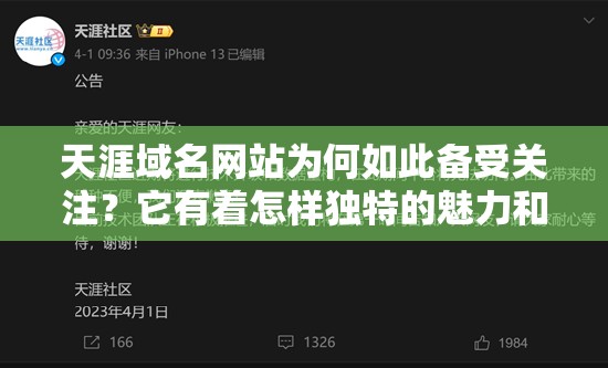 天涯域名網站為何如此備受關注？它有著怎樣獨特的魅力和價值？
