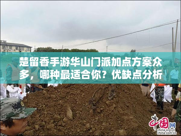 楚留香手游華山門派加點(diǎn)方案眾多，哪種最適合你？優(yōu)缺點(diǎn)分析揭曉！
