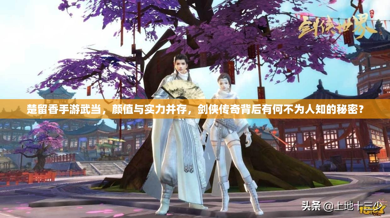 楚留香手游武當(dāng)，顏值與實(shí)力并存，劍俠傳奇背后有何不為人知的秘密？