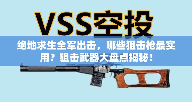 絕地求生全軍出擊，哪些狙擊槍最實(shí)用？狙擊武器大盤點(diǎn)揭秘！
