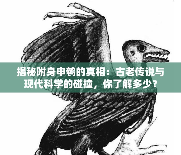 揭秘附身申鵪的真相：古老傳說與現(xiàn)代科學(xué)的碰撞，你了解多少？