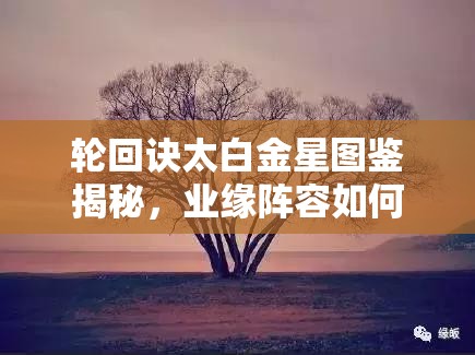 輪回訣太白金星圖鑒揭秘，業(yè)緣陣容如何搭配？深度解析等你來探！