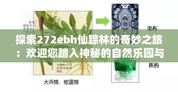 探索272ebh仙蹤林的奇妙之旅：歡迎您踏入神秘的自然樂園與奇幻世界