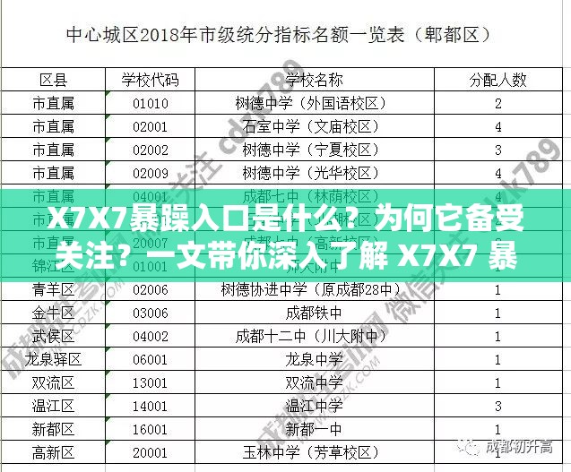 X7X7暴躁入口是什么？為何它備受關(guān)注？一文帶你深入了解 X7X7 暴躁入口