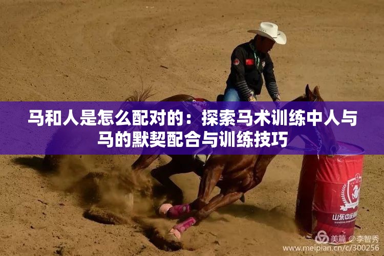馬和人是怎么配對(duì)的：探索馬術(shù)訓(xùn)練中人與馬的默契配合與訓(xùn)練技巧