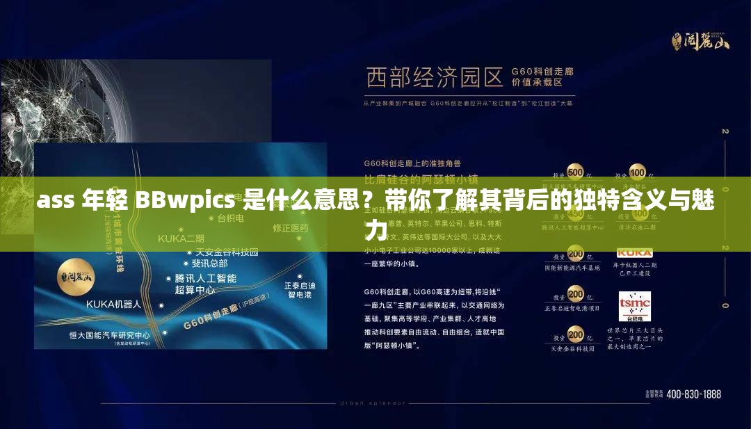 ass 年輕 BBwpics 是什么意思？帶你了解其背后的獨(dú)特含義與魅力
