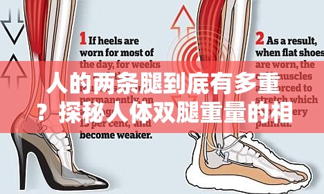 人的兩條腿到底有多重？探秘人體雙腿重量的相關(guān)奧秘與影響因素