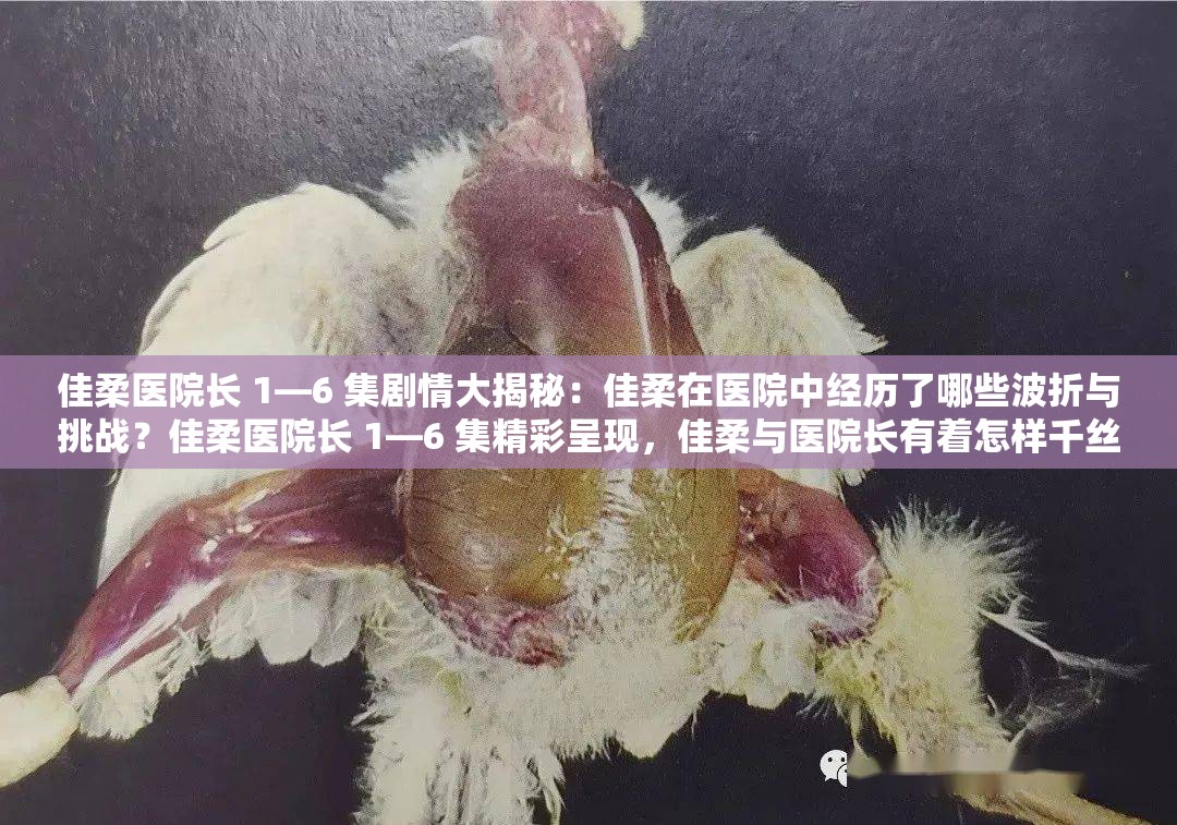 佳柔醫(yī)院長(zhǎng) 1—6 集劇情大揭秘：佳柔在醫(yī)院中經(jīng)歷了哪些波折與挑戰(zhàn)？佳柔醫(yī)院長(zhǎng) 1—6 集精彩呈現(xiàn)，佳柔與醫(yī)院長(zhǎng)有著怎樣千絲萬縷的故事？深度解析佳柔醫(yī)院長(zhǎng) 1—6 集，佳柔在醫(yī)院的遭遇與成長(zhǎng)引人關(guān)注，快來看看