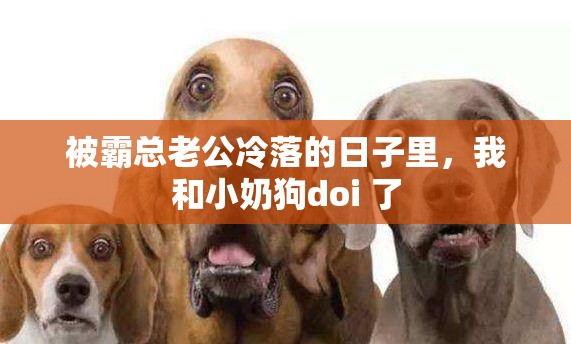 被霸總老公冷落的日子里，我和小奶狗doi 了