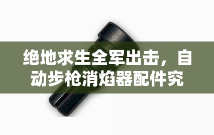 絕地求生全軍出擊，自動(dòng)步槍消焰器配件究竟有何神秘之處？