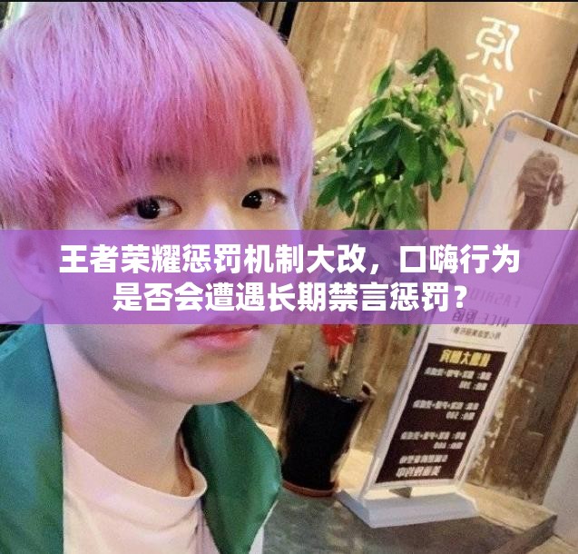 王者榮耀懲罰機(jī)制大改，口嗨行為是否會遭遇長期禁言懲罰？