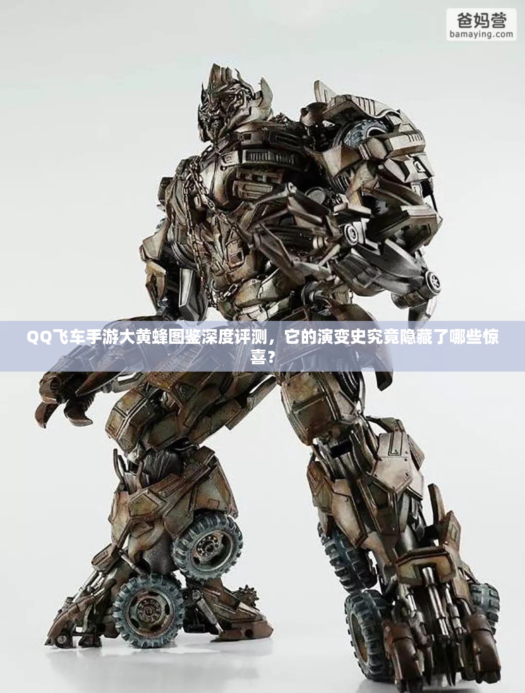 QQ飛車手游大黃蜂圖鑒深度評測，它的演變史究竟隱藏了哪些驚喜？
