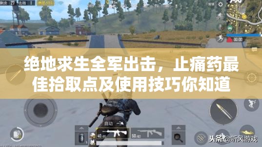 絕地求生全軍出擊，止痛藥最佳拾取點(diǎn)及使用技巧你知道嗎？