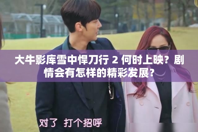 大牛影庫雪中悍刀行 2 何時上映？劇情會有怎樣的精彩發(fā)展？