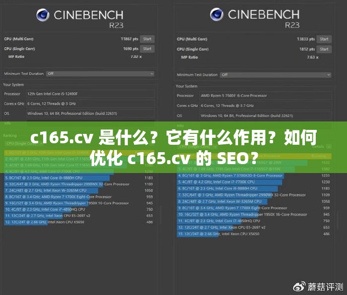 c165.cv 是什么？它有什么作用？如何優(yōu)化 c165.cv 的 SEO？