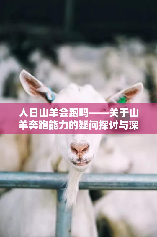 人日山羊會跑嗎——關于山羊奔跑能力的疑問探討與深度解析