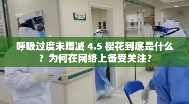 呼吸過度未增減 4.5 櫻花到底是什么？為何在網(wǎng)絡上備受關注？