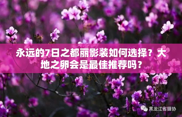 永遠(yuǎn)的7日之都麗影裝如何選擇？大地之卵會是最佳推薦嗎？