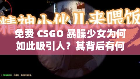 免費(fèi) CSGO 暴躁少女為何如此吸引人？其背后有何獨(dú)特魅力？一起來探討