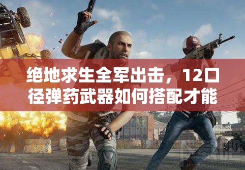 絕地求生全軍出擊，12口徑彈藥武器如何搭配才能制霸戰(zhàn)場？