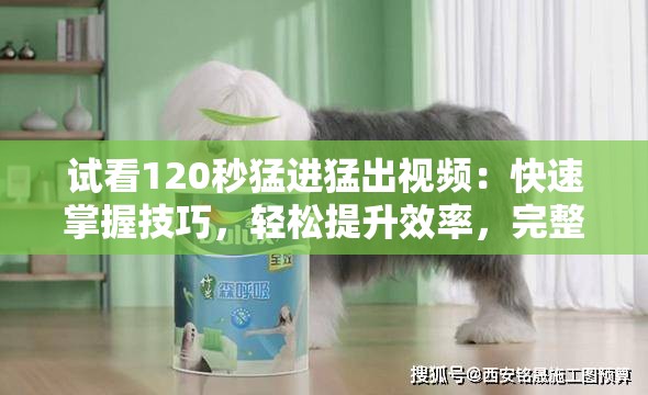 試看120秒猛進猛出視頻：快速掌握技巧，輕松提升效率，完整解析每一步操作