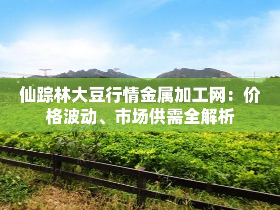 仙蹤林大豆行情金屬加工網(wǎng)：價(jià)格波動、市場供需全解析