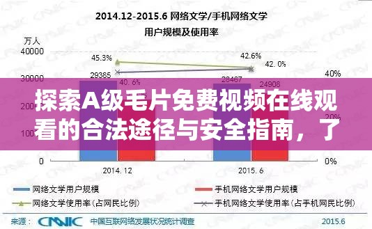 探索A級(jí)毛片免費(fèi)視頻在線觀看的合法途徑與安全指南，了解如何避免風(fēng)險(xiǎn)與保護(hù)隱私