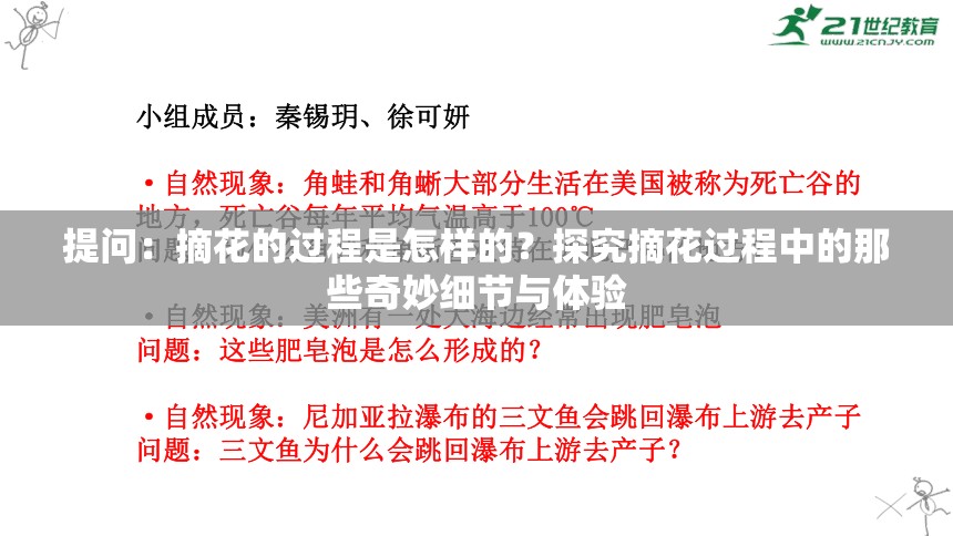 提問：摘花的過程是怎樣的？探究摘花過程中的那些奇妙細節(jié)與體驗