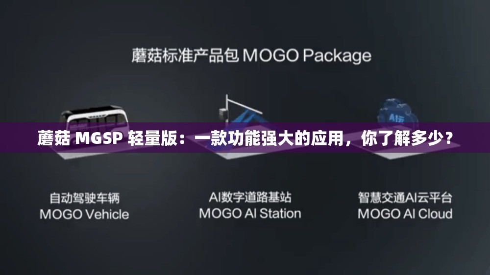 蘑菇 MGSP 輕量版：一款功能強(qiáng)大的應(yīng)用，你了解多少？