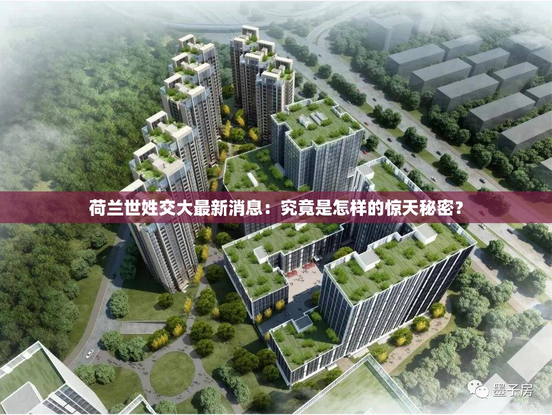 荷蘭世姓交大最新消息：究竟是怎樣的驚天秘密？