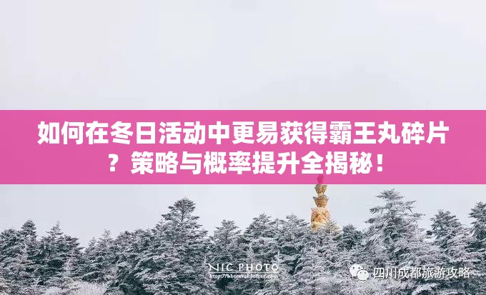 如何在冬日活動中更易獲得霸王丸碎片？策略與概率提升全揭秘！