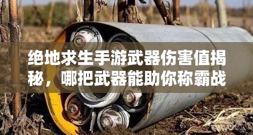 絕地求生手游武器傷害值揭秘，哪把武器能助你稱霸戰(zhàn)場？