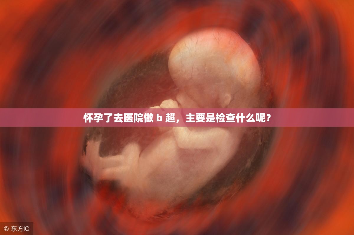 懷孕了去醫(yī)院做 b 超，主要是檢查什么呢？