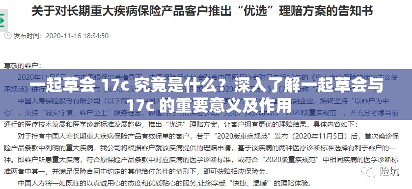 一起草會(huì) 17c 究竟是什么？深入了解一起草會(huì)與 17c 的重要意義及作用