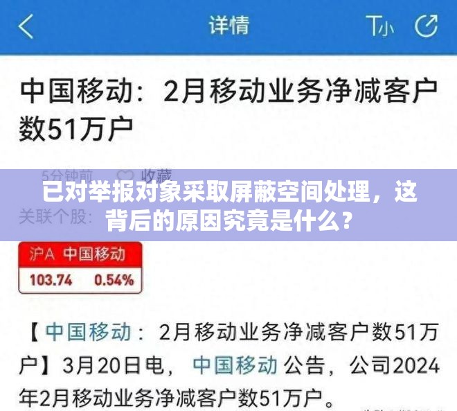 已對(duì)舉報(bào)對(duì)象采取屏蔽空間處理，這背后的原因究竟是什么？