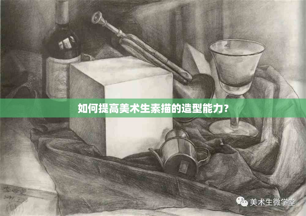 如何提高美術(shù)生素描的造型能力？