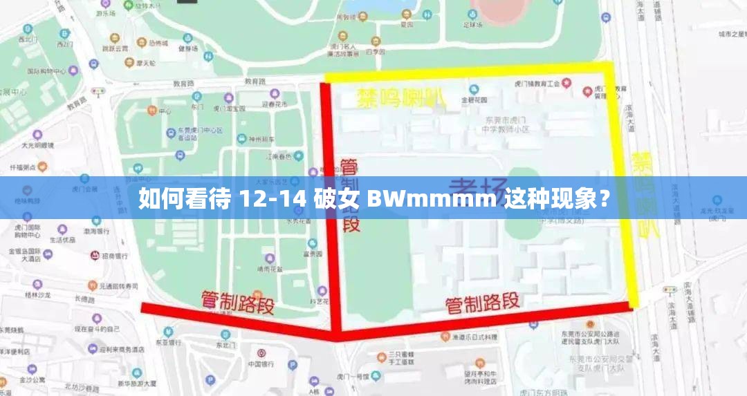如何看待 12-14 破女 BWmmmm 這種現(xiàn)象？