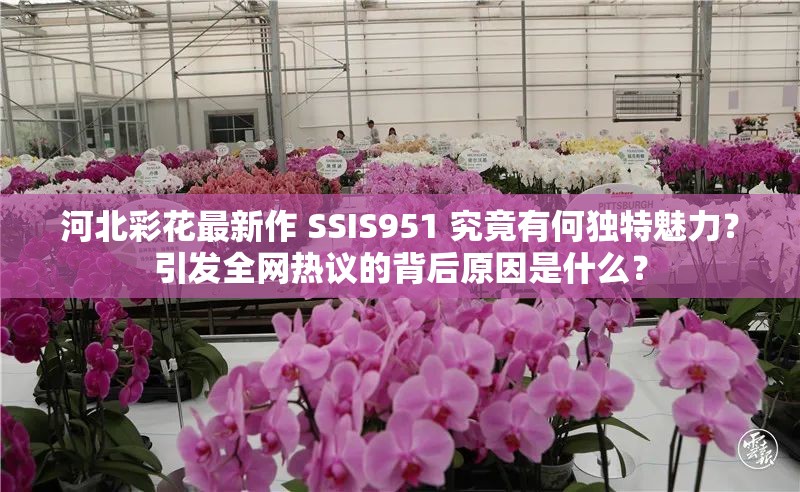 河北彩花最新作 SSIS951 究竟有何獨特魅力？引發(fā)全網(wǎng)熱議的背后原因是什么？