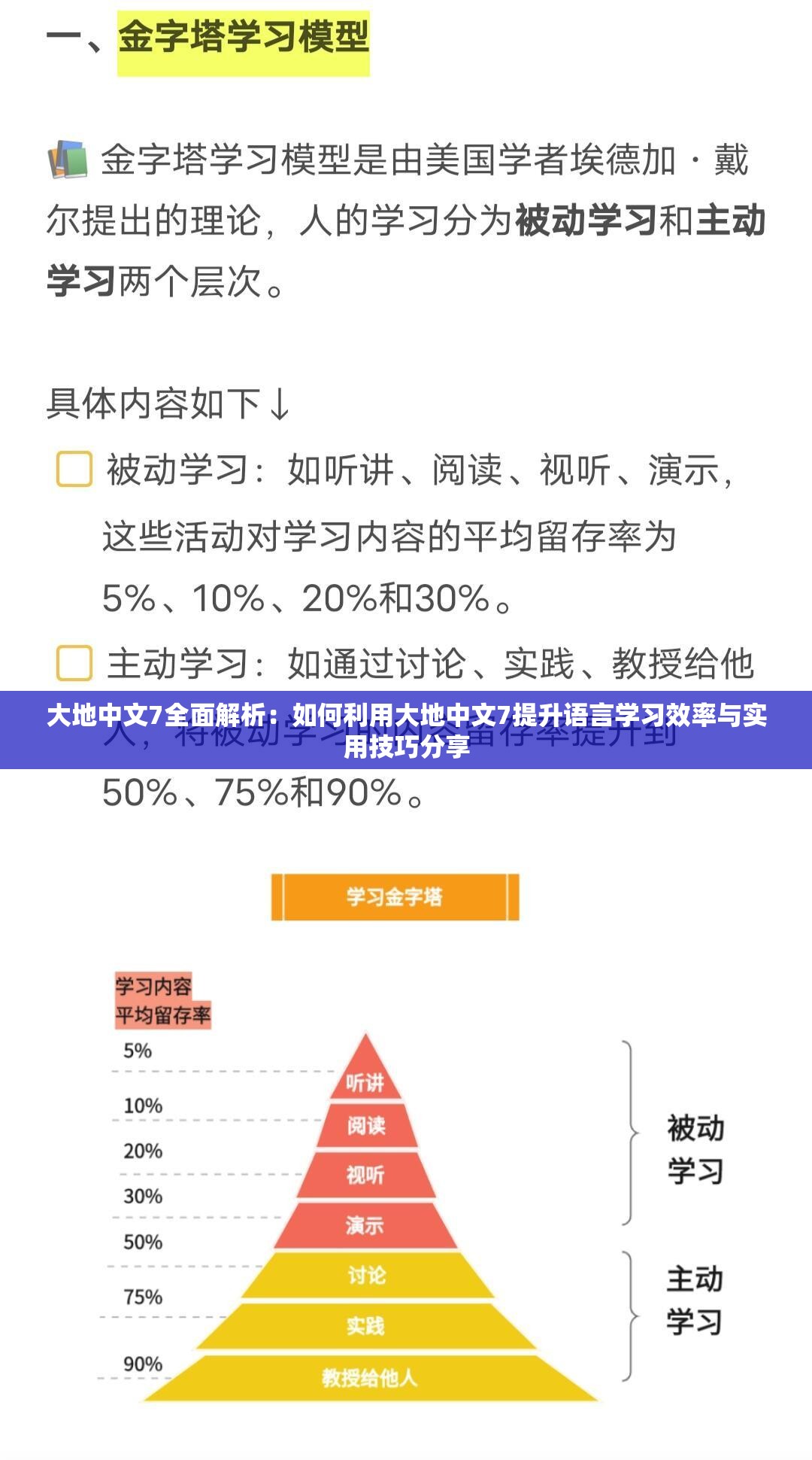 大地中文7全面解析：如何利用大地中文7提升語言學習效率與實用技巧分享