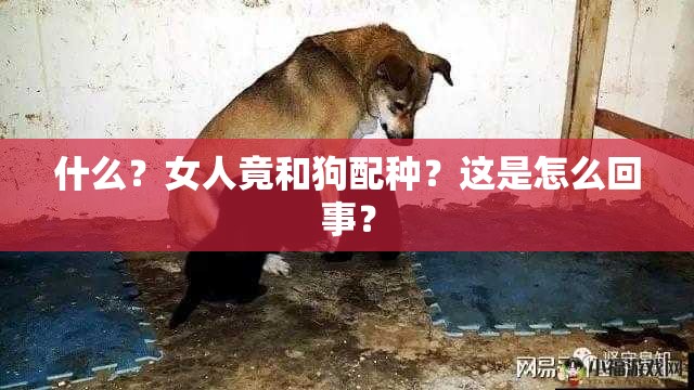 什么？女人竟和狗配種？這是怎么回事？