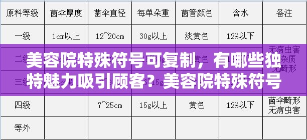 美容院特殊符號(hào)可復(fù)制，有哪些獨(dú)特魅力吸引顧客？美容院特殊符號(hào)可復(fù)制，能帶來怎樣驚艷的美容效果？美容院特殊符號(hào)可復(fù)制，其背后蘊(yùn)含著怎樣的專業(yè)奧秘？
