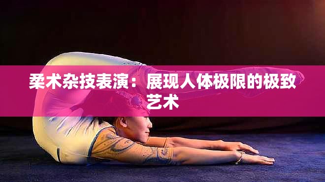 柔術(shù)雜技表演：展現(xiàn)人體極限的極致藝術(shù)