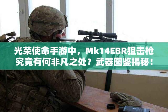 光榮使命手游中，Mk14EBR狙擊槍究竟有何非凡之處？武器圖鑒揭秘！
