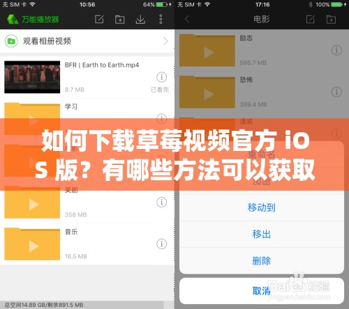 如何下載草莓視頻官方 iOS 版？有哪些方法可以獲取？