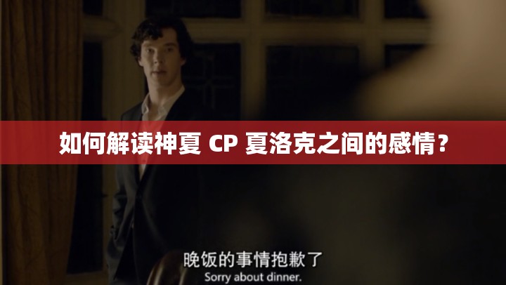 如何解讀神夏 CP 夏洛克之間的感情？