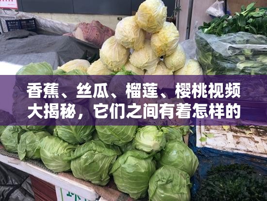 香蕉、絲瓜、榴蓮、櫻桃視頻大揭秘，它們之間有著怎樣的獨(dú)特聯(lián)系？