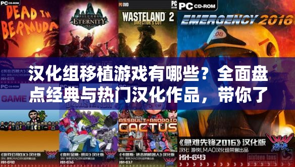 漢化組移植游戲有哪些？全面盤點經(jīng)典與熱門漢化作品，帶你了解漢化組背后的故事與游戲移植的奇妙旅程